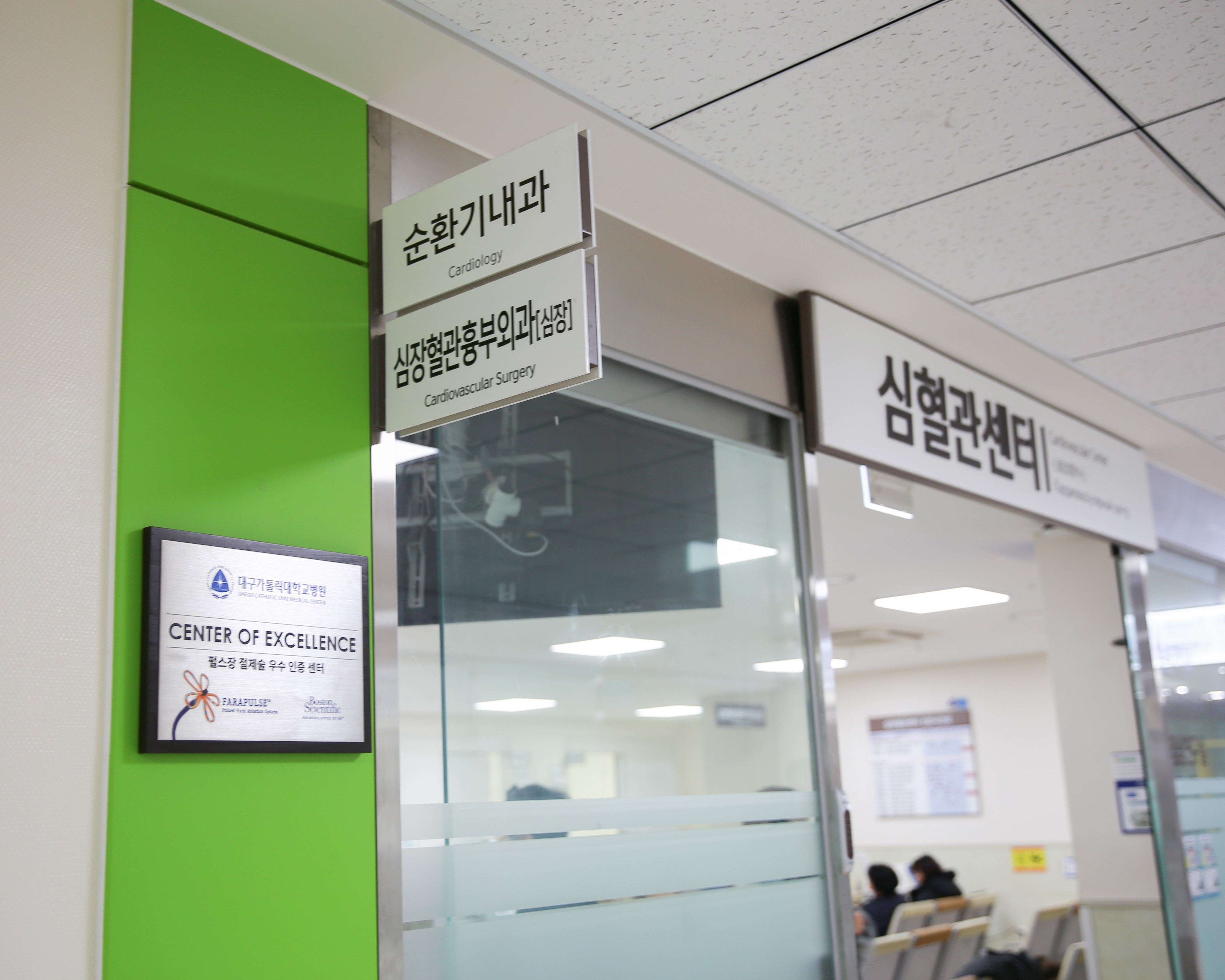 [NSP통신]대구가톨릭대학교병원, 펄스장 절제술 우수 인증 센터 지정 이미지